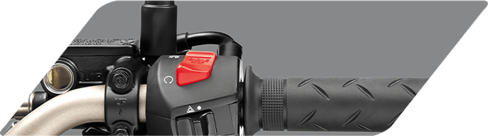 Мотоцикл Honda HORNET 2.0