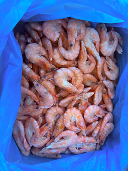 Креветка Королевская 40/50 5кг Агама