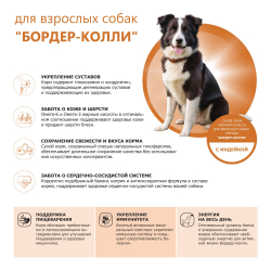Корм сухой для взрослых собак породы Бордер-колли, премиум полнорационный комплекс, с индейкой, 2,5 кг, QUATTRO