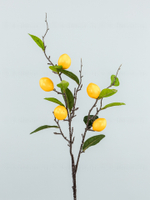 Ветка Лимон Спелый