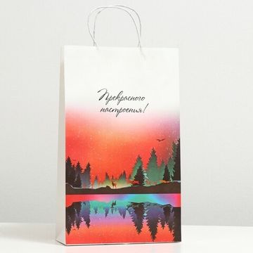 Пакет подарочный "Закат", крафт, 40.5 x 24.8 x 9 см 7601635