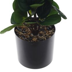 GAEM Цветочная композиция, L15 W15 H62 см