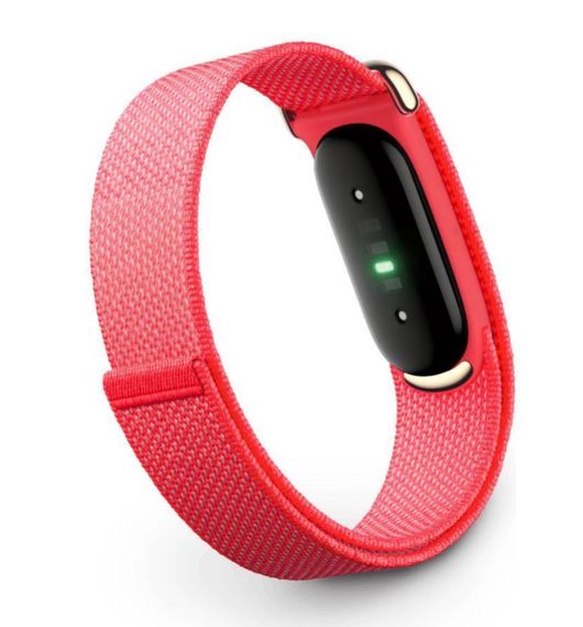 Фитнес-браслет Google Fitbit Air