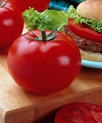 Биг Биф F1 семена томата индетерминантного (Seminis / Семинис) (100 шт.)