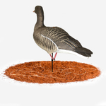 Серый гусь Duck Mania "ALFA" 6 штук