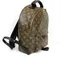 Рюкзак Louis Vuitton Palm Springs PM коричневый