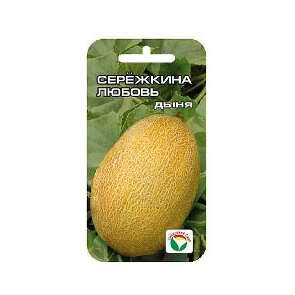 Дыня Сережкина любовь СибСад