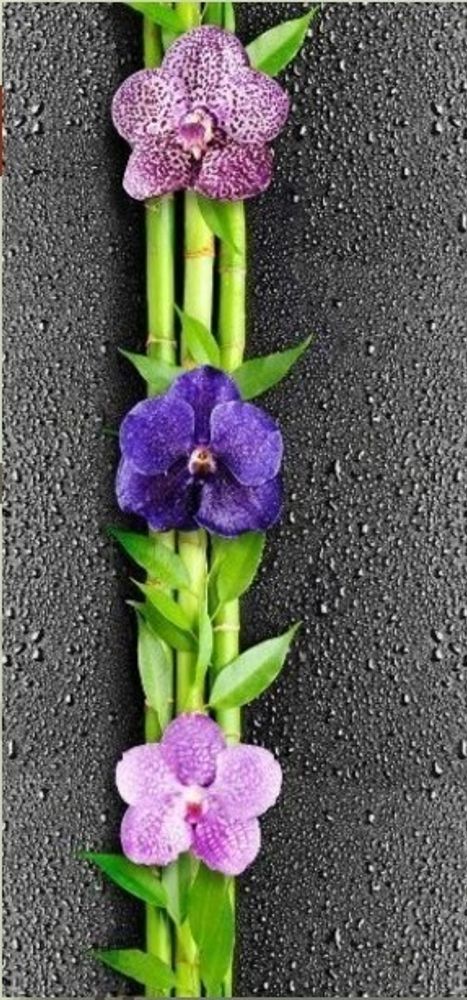 Панель СТАНДАРТ 25_Орхидея 1 №351 Цветы на черном
