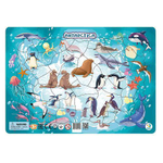 Пазл в рамке 53эл. "Антарктида" (Dodo)