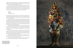 Daniel Ost: Floral Art and the Beauty of Impermanence