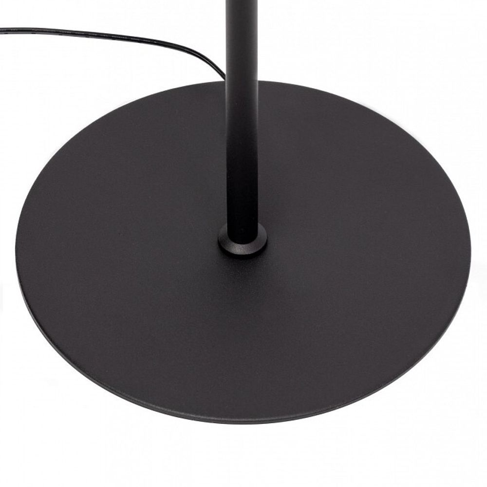 Торшер Citilux Twin CL809011N