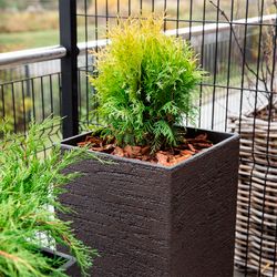 Кашпо BOWL EROSIA D52 H29