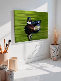 Картина на стену 40 X 50 Утка