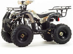 Квадроцикл MOTOLAND 125 FOX A