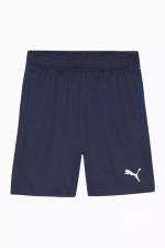 Шорты Puma teamGOAL Training