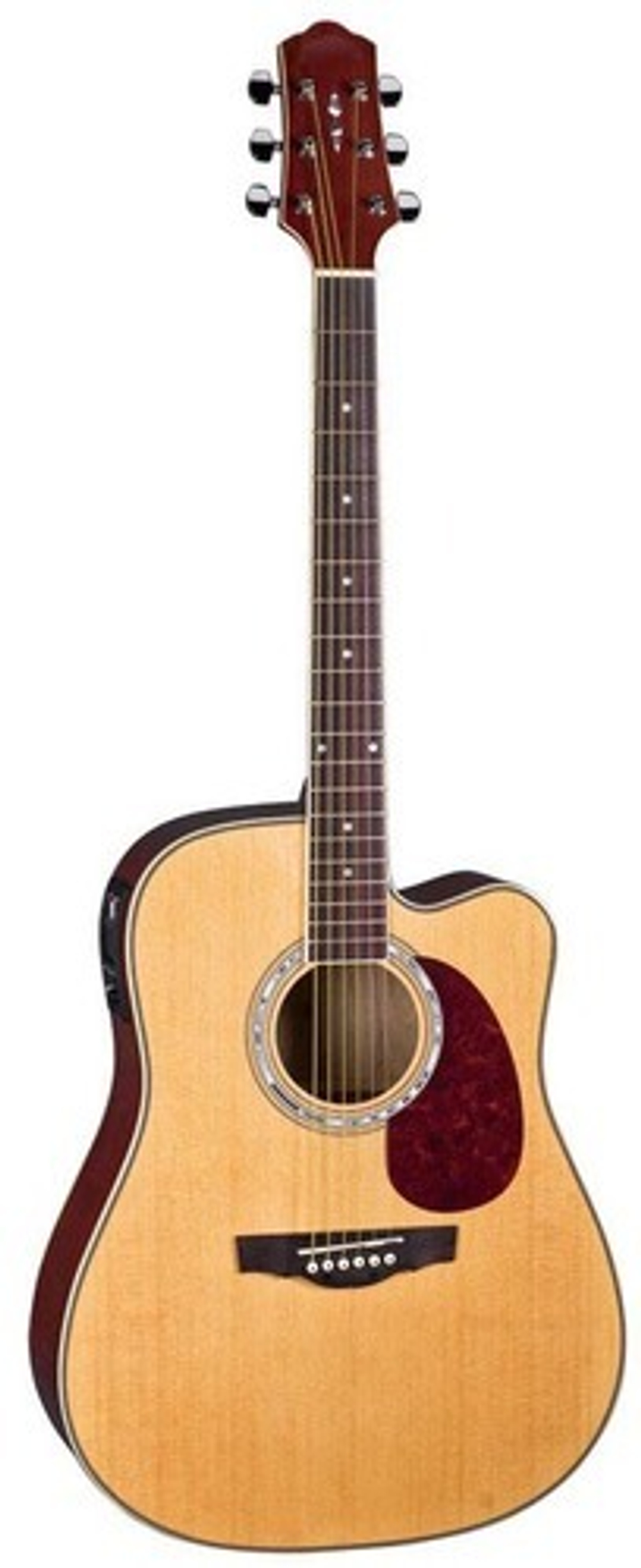 Дредноут Naranda DG220CEN