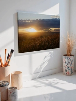 Картина на стену 40 X 50 Пшеничное поле