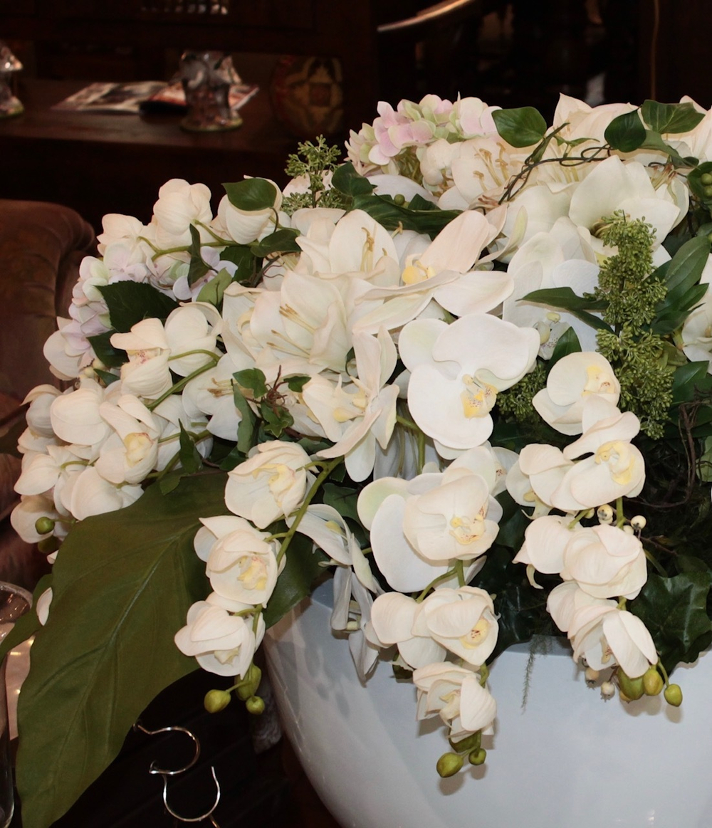 Орхидея белая