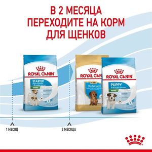 Корм для щенков мелких пород до 2-х месяцев, Royal Canin Mini Starter Mother & Babydog