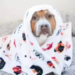 Покрывало для собак BullyBillows