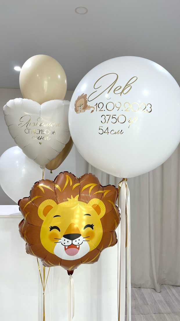 Шары на выписку №158