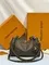 Сумка Louis Vuitton Express