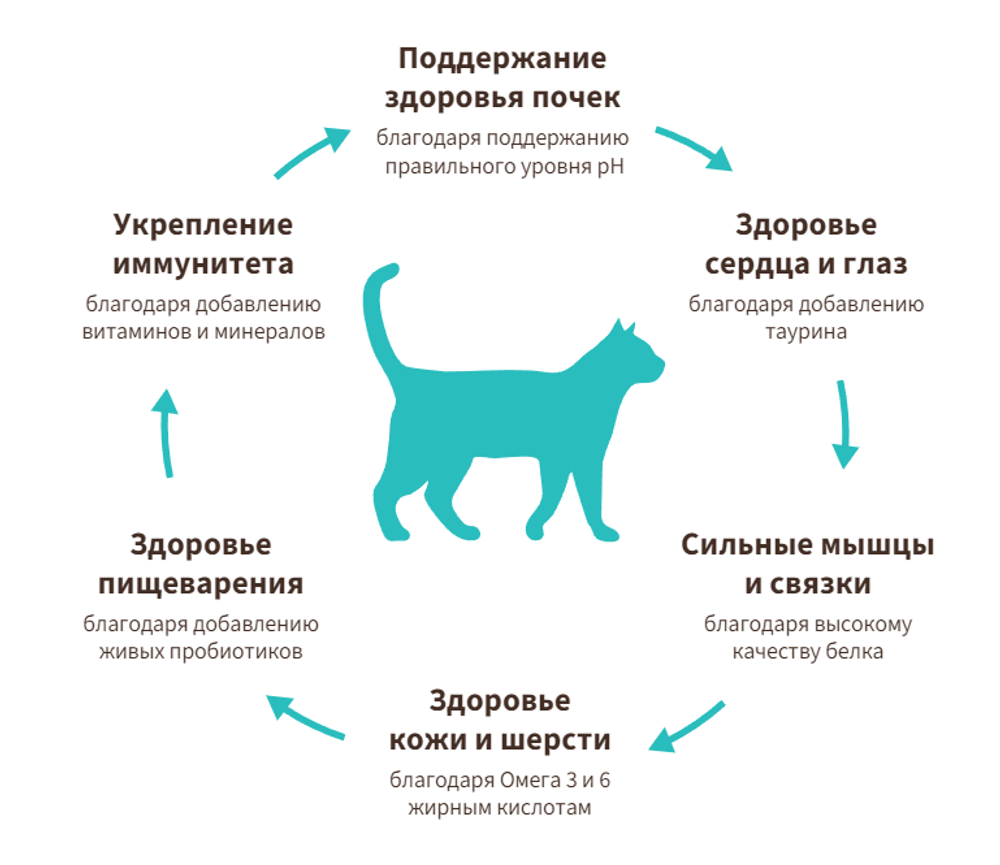 Grandorf Probiotic Sterilized (4 вида мяса)