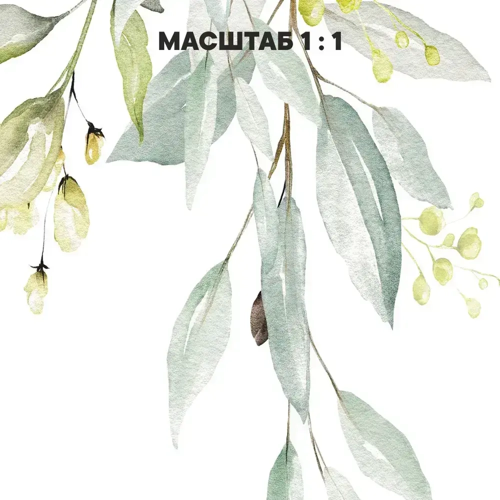 Фотообои на стену флизелиновые 3d 500х270 Листья.