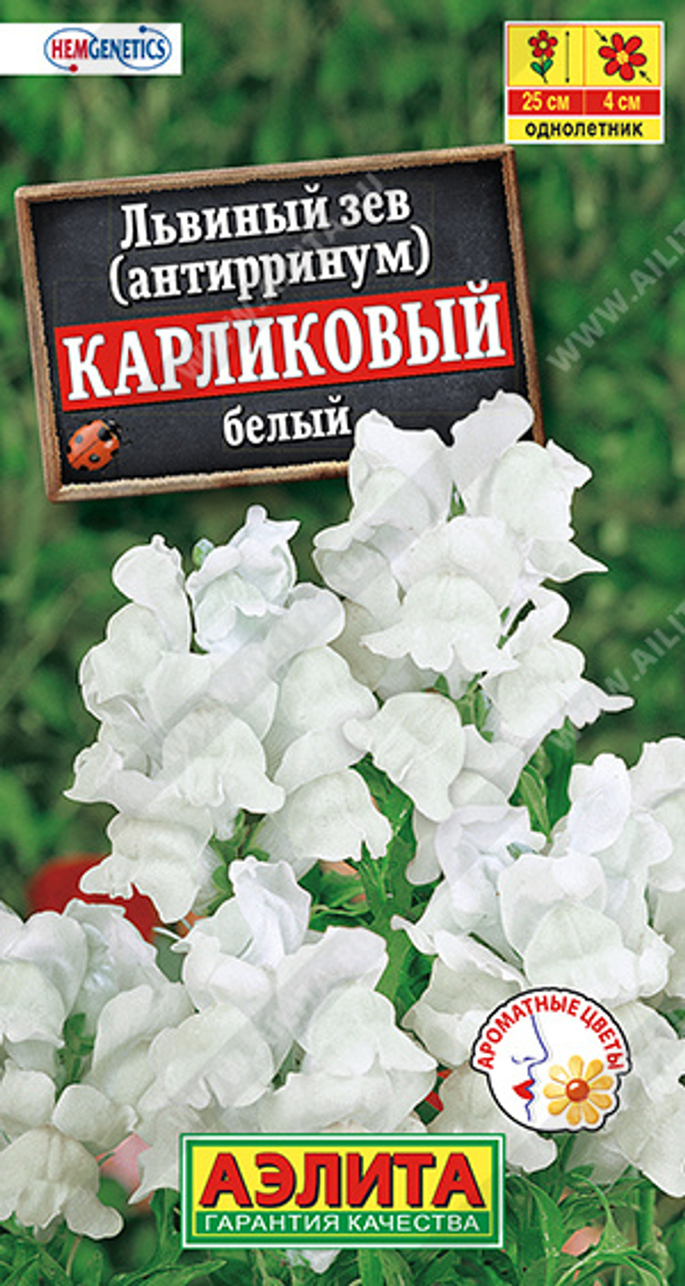 Львиный зев карликовый Белый 10шт Ц Аэлита