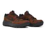 Кроссовки Nike Acg Lowcate