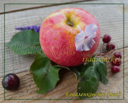 Яблоня Коваленковское ( Красное сладкое)