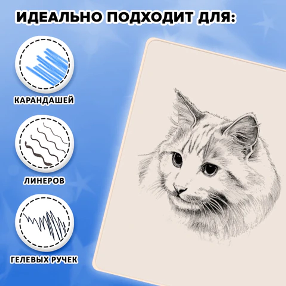 Скетчбук "Капибары"