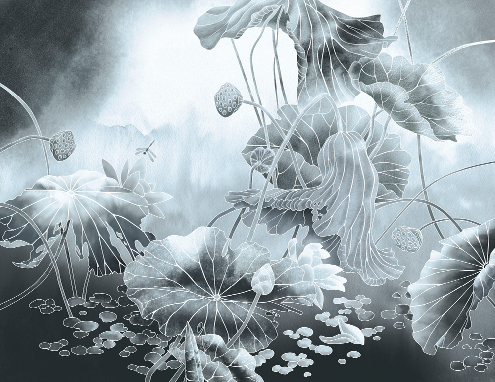 Коллекция Grafika Natura