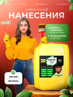 Антисептик для тяжелых условий PaintPRO 10л