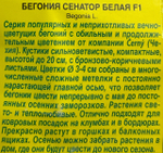 Бегония Вечноцв. Сенатор Белая F1 10 шт СМЦ-771