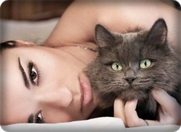 Кошки и женщины: 30 различий Кошки и женщины: 30 различий