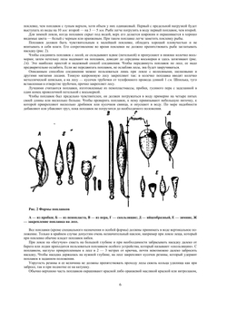 Как ловить рыбу удочкой | Д. Колганов