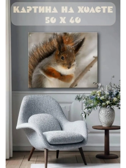 Картина на стену 40 X 50 Белка