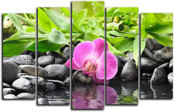 Модульная картина "Ручей и розовая орхидея"