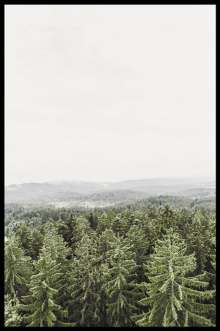 Интерьерная картина в технике цифровой печати. АРТ 055 Природа