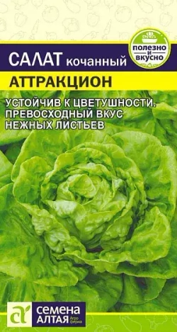 Салат семена зеленый