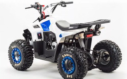 Квадроцикл MOTOLAND (МОТОЛЕНД) 110 EAGLE