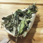 Белый Пион (Бай Му Дань)