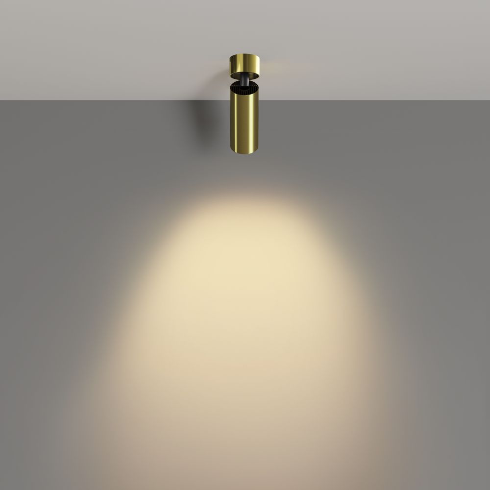 Спот светодиодный Maytoni   C055CL-L12W2.7K-W-BS