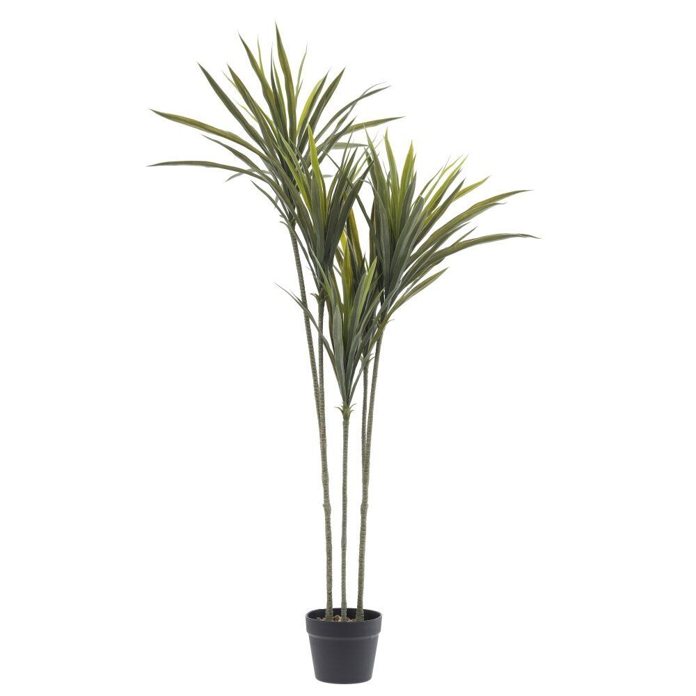 GAEM Цветочная композиция "Драцена", L75 W60 H133 см