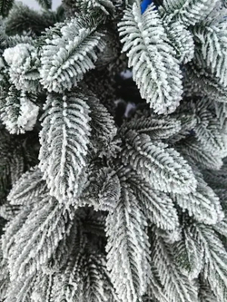 Ель искусственная Царь елка Беверли стройная заснеженная 210 см