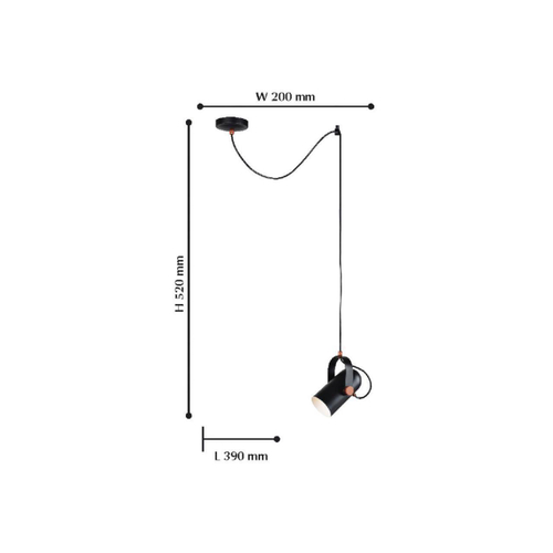 Подвесной светильник Favourite Ampolla 2007-1P