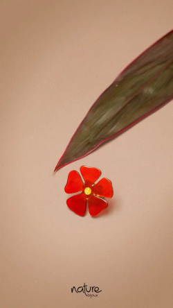 Кольцо Nature Bijoux, Son Jardin, разъемное, с цветком из рога, NB26.1-19-27000 (красный)