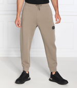 спортивные штаны Emporio Armani - песочный(6L1P84 1JHSZ)