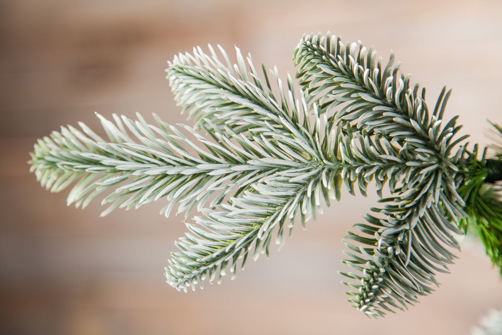 Ель Нормандия Пушистая 230см заснеженная Triumph Tree